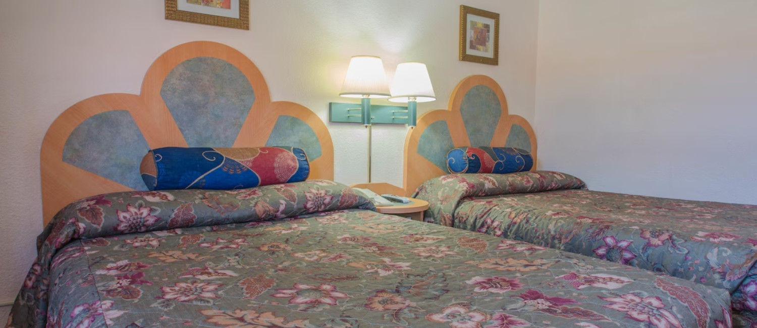 Enjoy A Relaxing Stay In Our Spacious Guestrooms